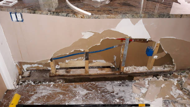 Best Mold removal after water damage  in Chouteau, OK