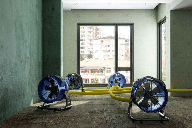 Best Water damage cleanup near me  in Chouteau, OK